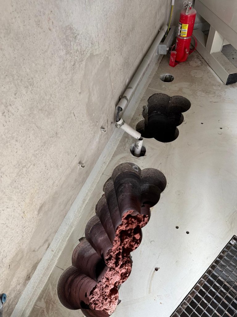 photo 2026 04 06 19 32 23 9