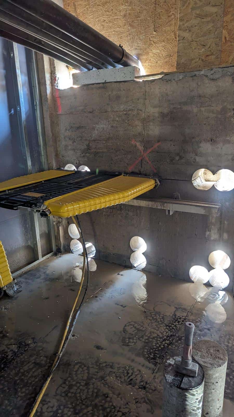 whatsapp image 2026 04 06 at 19.15.47 (3)